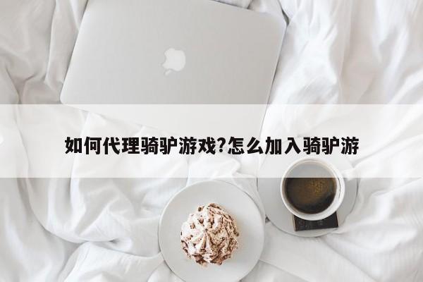如何代理骑驴游戏?怎么加入骑驴游