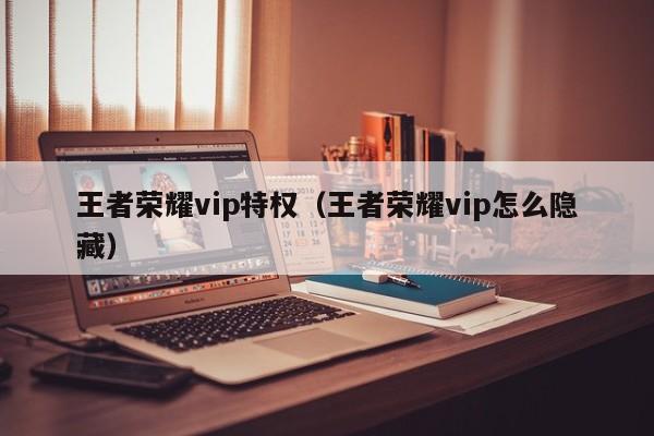王者荣耀vip特权（王者荣耀vip怎么隐藏）