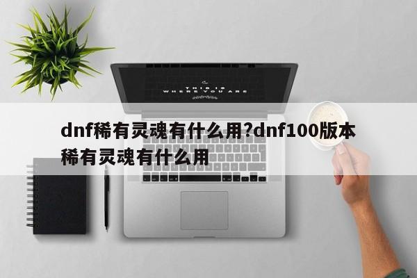 dnf稀有灵魂有什么用?dnf100版本稀有灵魂有什么用