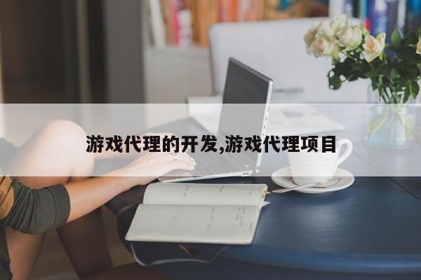 游戏代理的开发,游戏代理项目