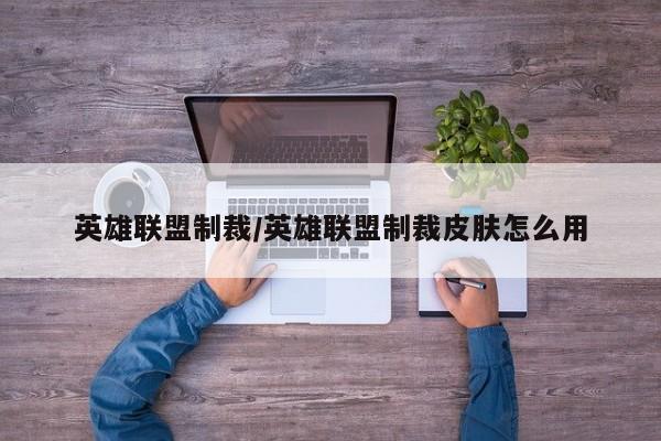 英雄联盟制裁/英雄联盟制裁皮肤怎么用