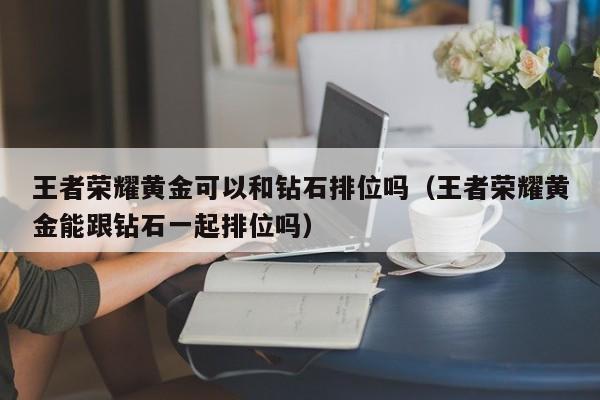 王者荣耀黄金可以和钻石排位吗(王者荣耀黄金能跟钻石一起排位吗)