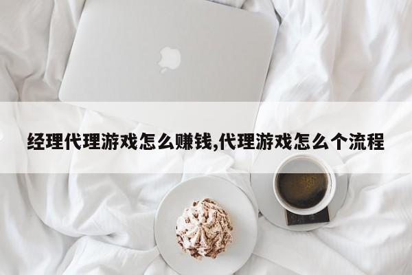 经理代理游戏怎么赚钱,代理游戏怎么个流程