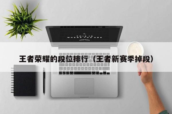 王者荣耀的段位排行（王者新赛季掉段）