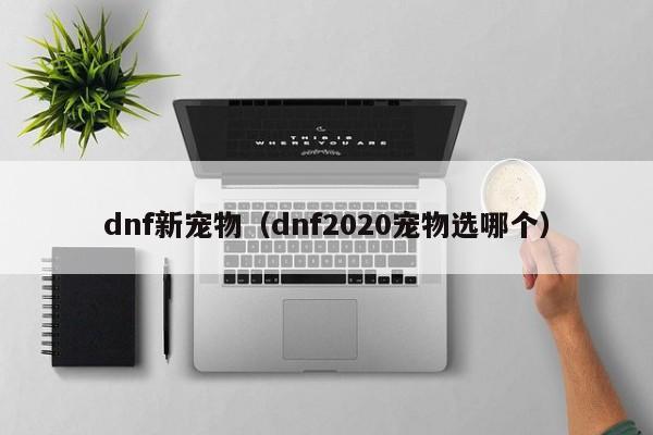dnf新宠物（dnf2020宠物选哪个）