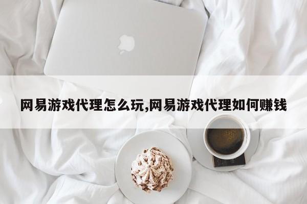网易游戏代理怎么玩,网易游戏代理如何赚钱